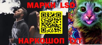 ГАЛЛЮЦИНОГЕННЫЕ ГРИБЫ Рыбинск