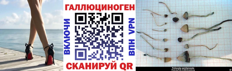 Галлюциногенные грибы MAGIC MUSHROOMS Сатка
