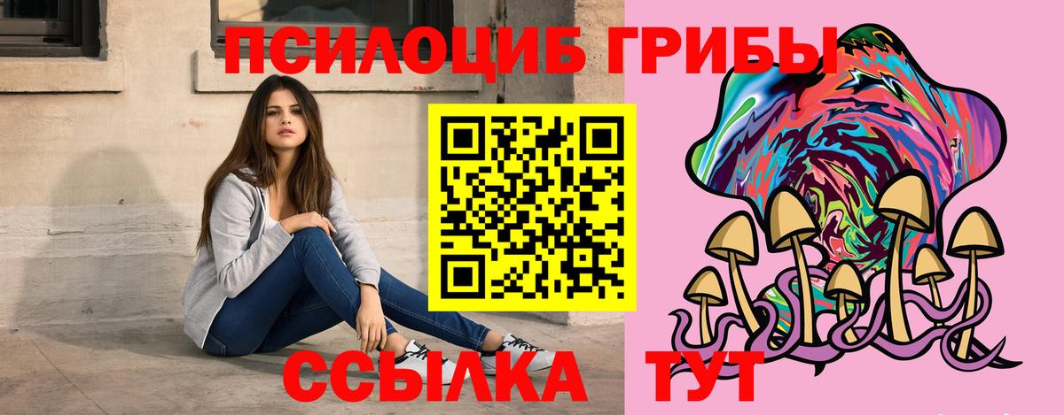 Псилоцибиновые грибы Cubensis  Псилоцибиновые грибы Cubensis  Сатка  Вход с VPN 