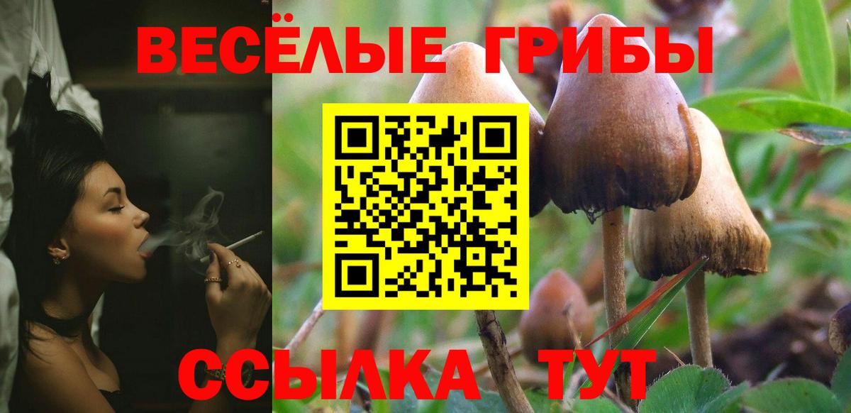 Псилоцибиновые грибы Magic Shrooms Сатка